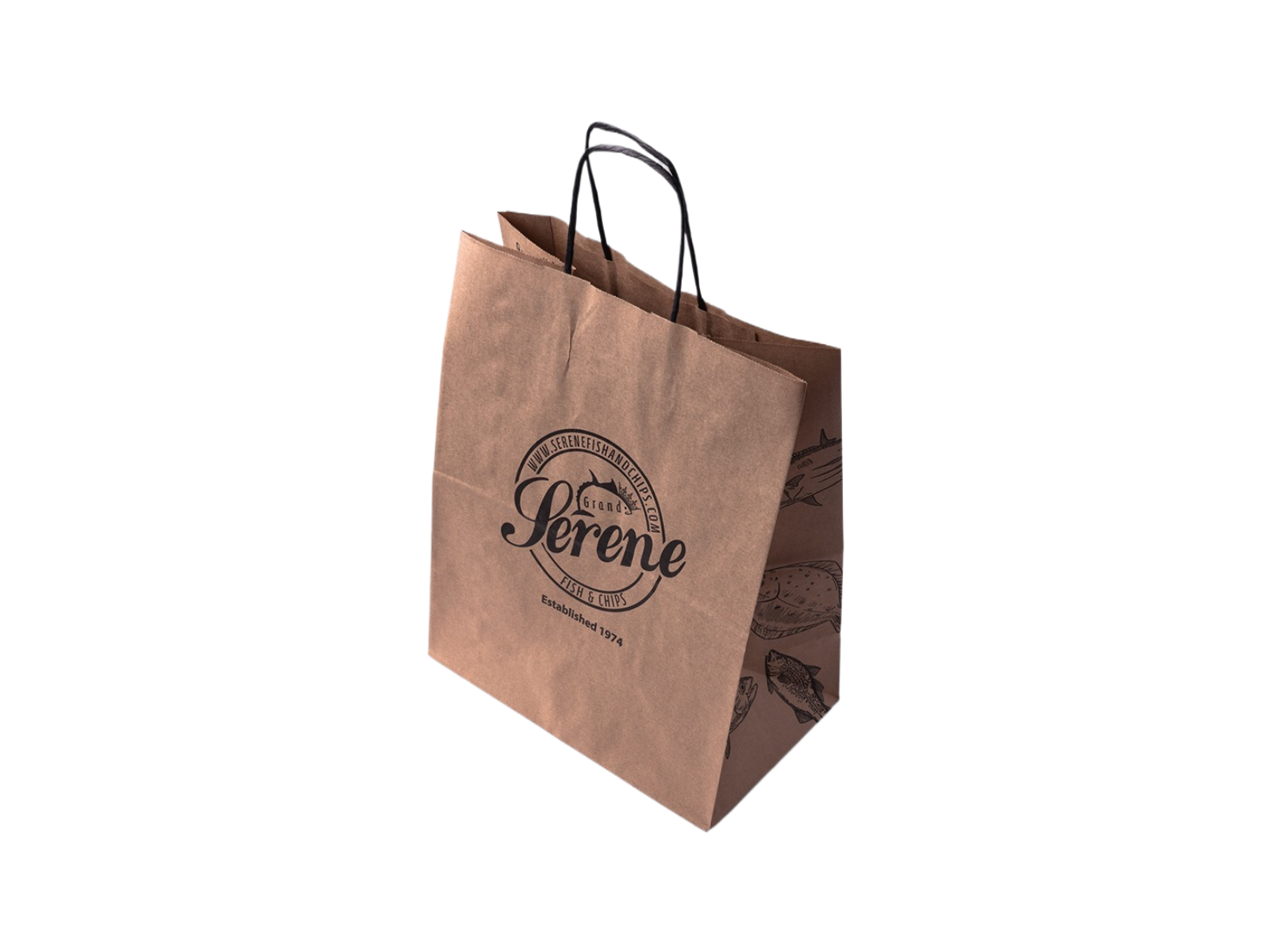 Paper Bag with Twisted Handles