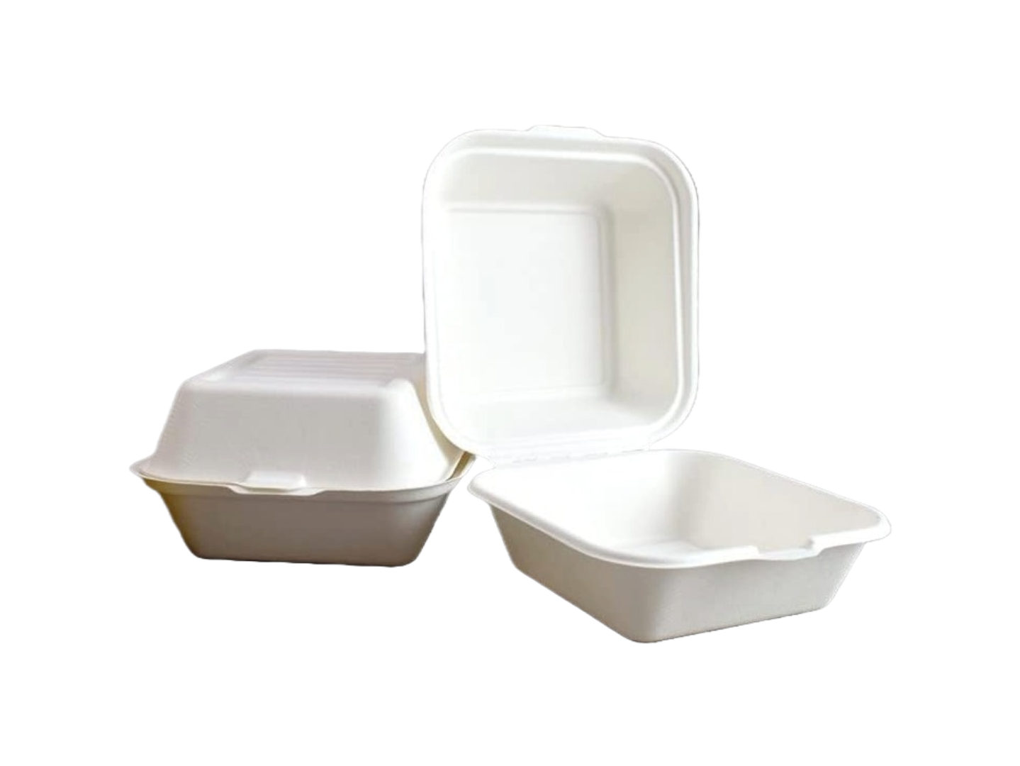 6'' Baggasse Food Boxes