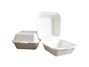 6'' Baggasse Food Boxes