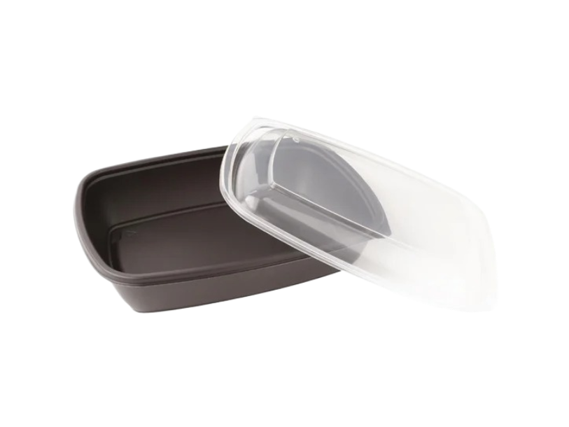 Without Rib Container Food Compartment Containers Without Lid – Desa Pack Limited